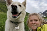 Chú chó Husky “anh hùng” cứu mạng cô gái bị ngã xuống núi