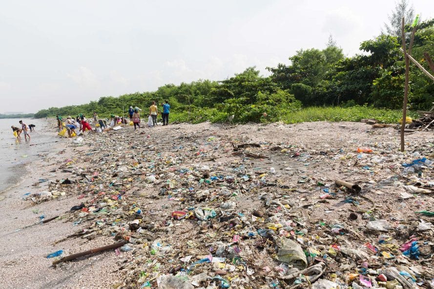 Plastic Trash Cleanup