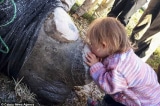 Khoảnh khắc ngọt ngào khi cô bé 3 tuổi nhẹ nhàng hôn lên chú tê giác bị cưa sừng được mọi người ví như "người đẹp và quái vật". 