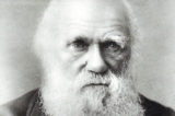 Charles Darwin PPP