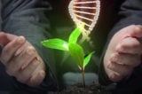 shutterstock 121238329 Organic Science theme with DNA