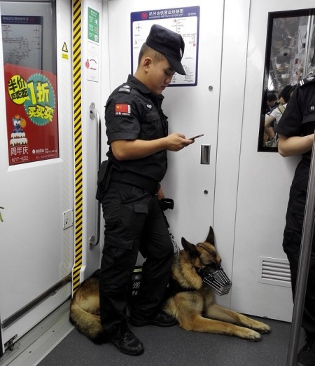 Cảnh sát và chó tuần tra