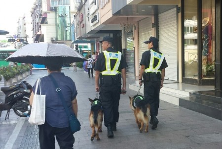 Cảnh sát và chó tuần tra