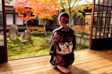 Tản mạn về văn hóa “quỳ gối” ở Nhật Bản và Hàn Quốc