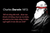 darwin copy