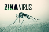 virus zika again