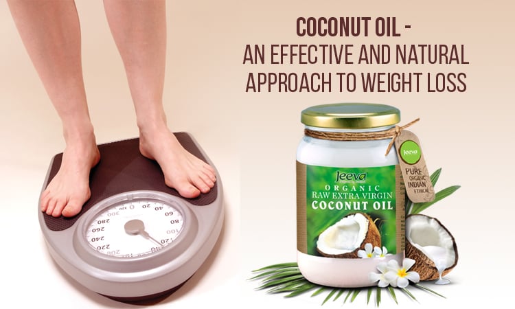 coconut oil helps to lose weight