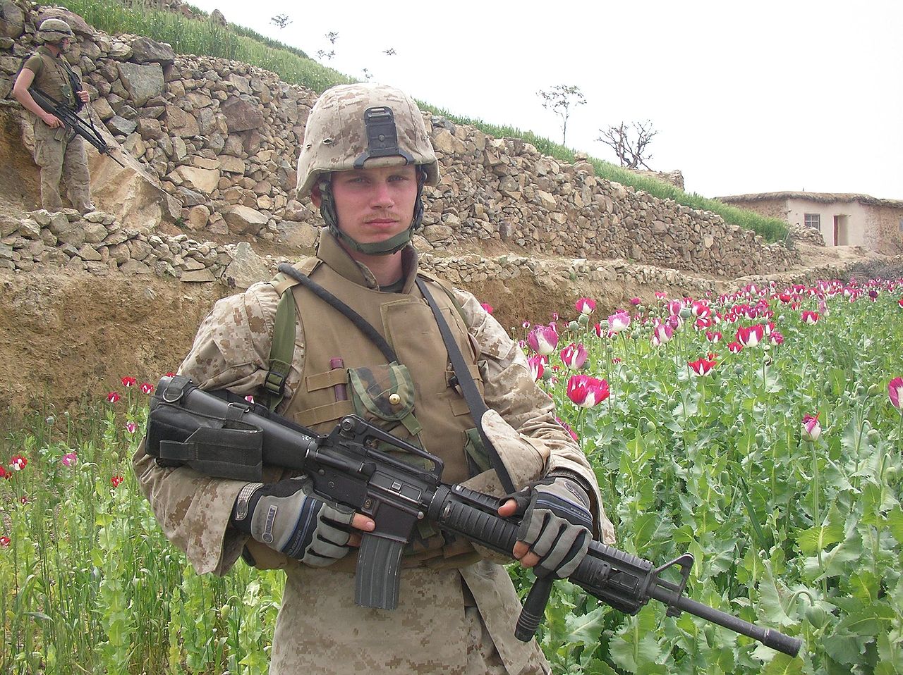 Một thủy quân lục chiến Mỹ trên cánh đồng thuốc phiện tại Afghanistan. (Ảnh: Wikipedia)