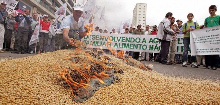 Người biểu tình ở Brazil đốt các hạt đậu nành GMO. (ảnh qua naturalsociety.com)