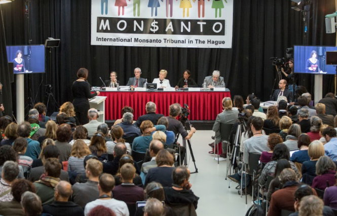 Tòa án quốc tế về Monsanto tại La Haye (Hà Lan) mở phiên tòa vào tháng 10-2016. (Ảnh: Greenpeace) 