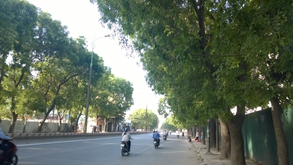 Hàng cây xanh mát dọc trên đường Phạm Văn Đồng đang đứng trước nguy cơ bị chặt hạ để làm đường. (Ảnh: Sơn Trà)