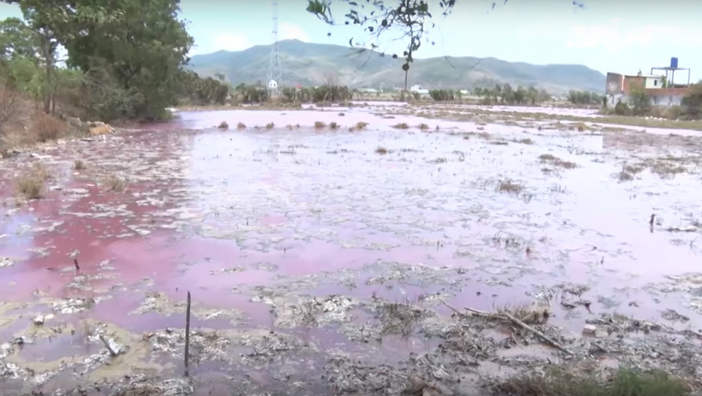 Hồ chứa ở cống số 6 (xã Tân Hải, huyện Tân Thành) bị ô nhiễm nghiêm trọng do xả thải. (Ảnh chụp video/2017)