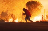 Cháy rừng Thomas Fire, Người đàn ông liều mình cứu chú thỏ