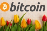 bitcoin va tulip