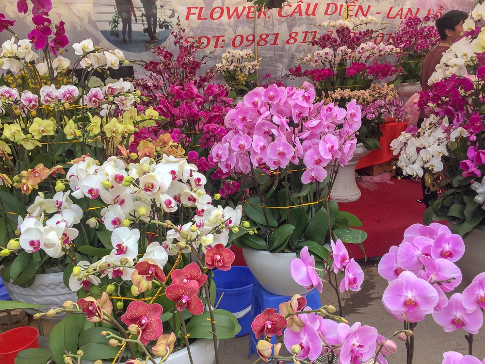 Chợ hoa Vạn Phúc