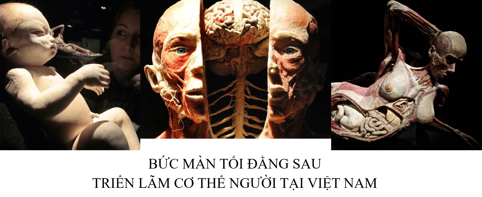 Bức màn tối đằng sau triển lãm cơ thể người tại Việt Nam