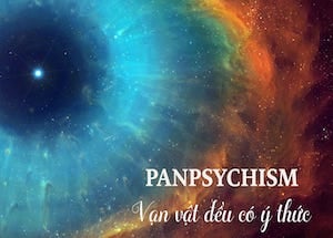 panpsychism y thuc cover