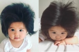 Bé gái Nhật Bản có mái tóc kỳ lạ