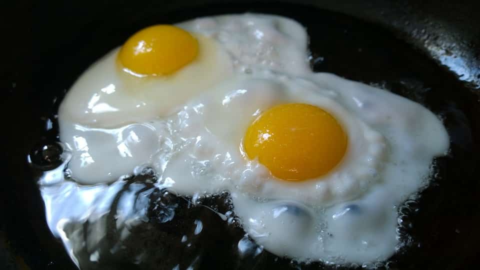 pixabay fried egg