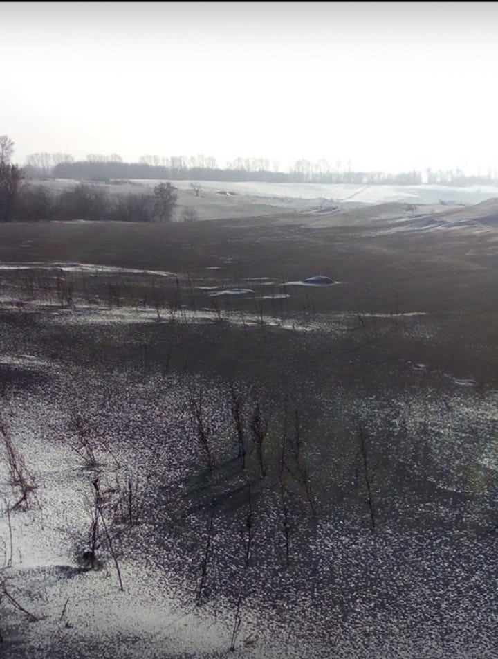 Ô nhiễm bụi than: Tuyết đen xuất hiện tại Siberia