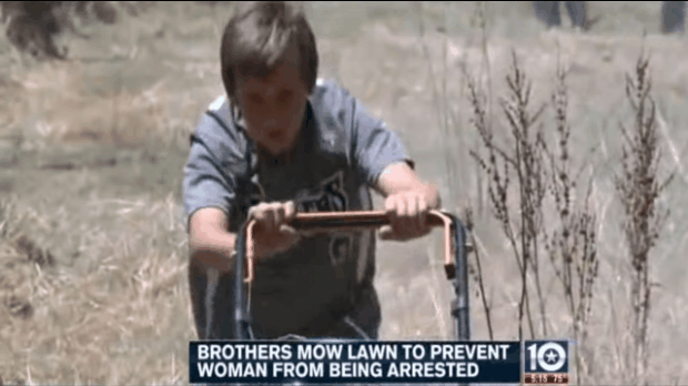 Mỹ: 4 cậu bé xa lạ đến cắt cỏ giúp một bà lão