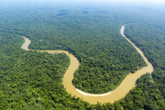 Bộ lạc Amazon thắng kiện chính phủ, cứu 3 triệu mẫu rừng mưa nhiệt đới
