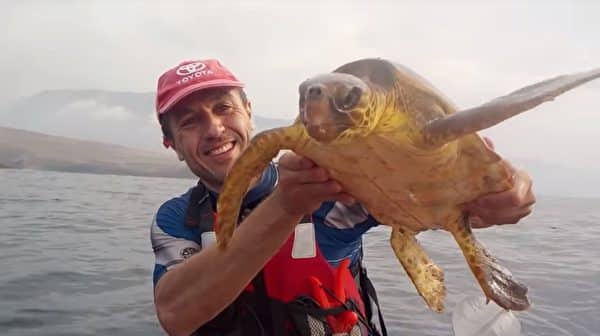 Hai người đàn ông tốt bụng giải cứu rùa biển mắc kẹt trong tấm lưới