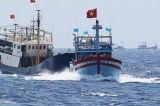 Trung Quốc phá hủy sinh cảnh, vét nạo các đại dương