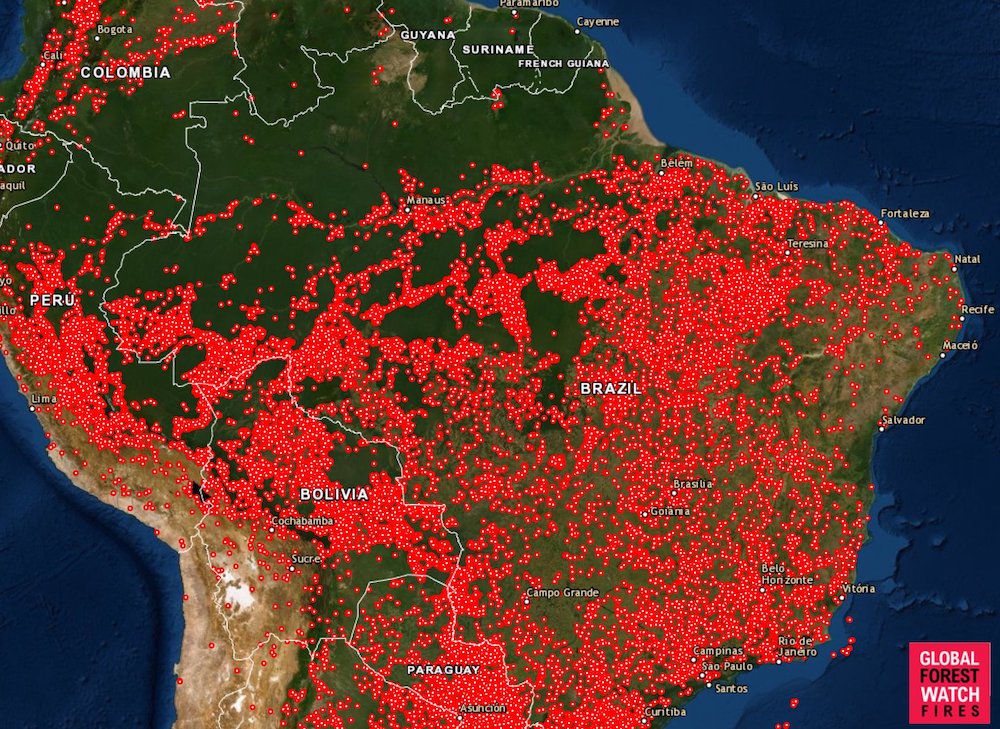 Không chỉ cháy rừng ở Amazon, cả Nam Mỹ đang phải chống chọi với lửa