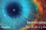 panpsychism y thuc feature