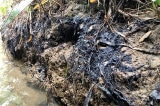 nước nhiễm dầu thải, nước sông Đà