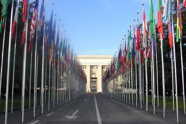 Liên Hợp Quốc, Vi phạm nhân quyền