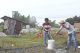 trại nuôi heo đầu nguồn nước