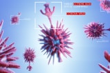virus corona covid 19 nanobot
