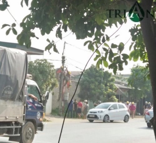 nhân viên điện lực bị điện giật tử vong, Nghệ An