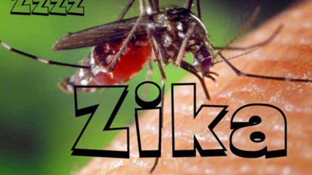 virus Zika, Đà Nẵng