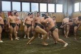 đô vật sumo