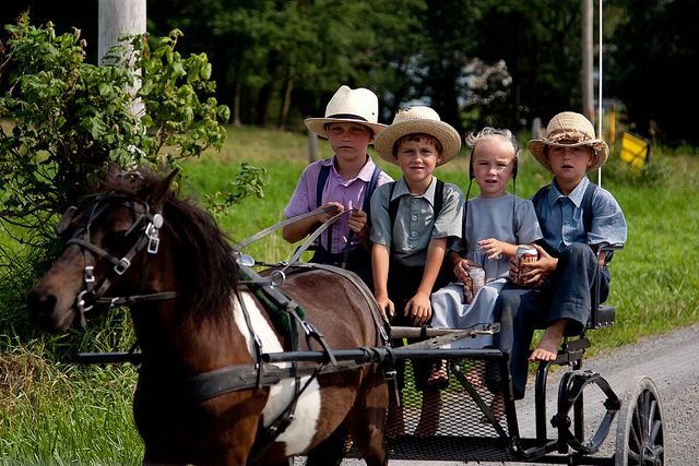 Amish 2 image