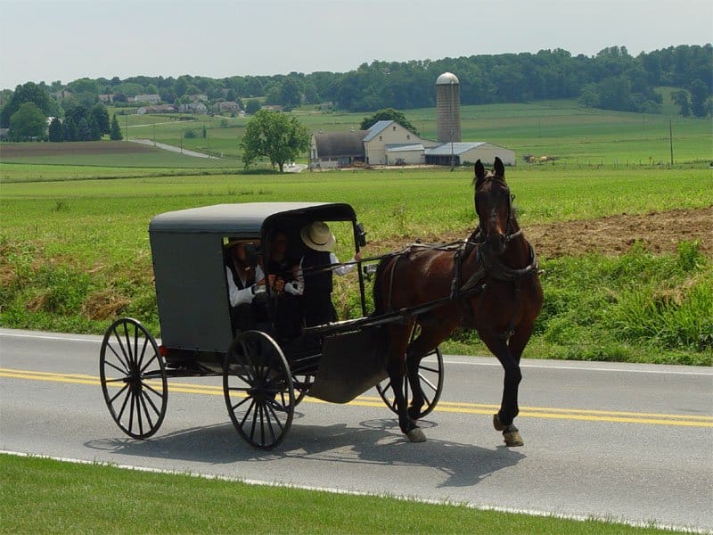 người Amish