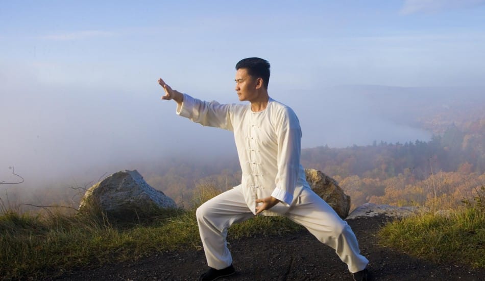 chinese martial arts tai chi 01 Renee Luo 950x550 image