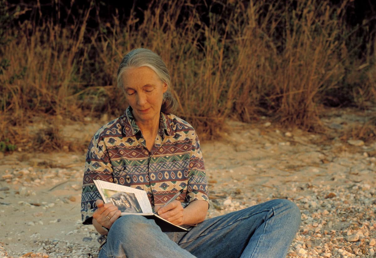 Jane Goodall: Sinh vật thông minh nhất Trái Đất đang phá hủy ngôi nhà của mình