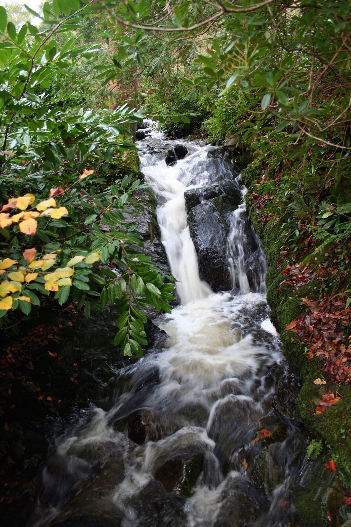 Thac nuoc dep an minh o Northern Irelands Tollymore Forest Park image