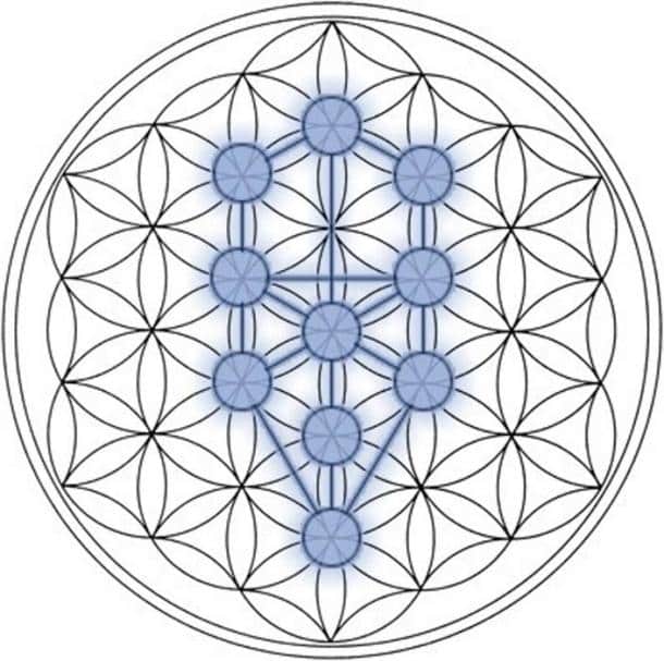 Tree of Life Flower of Life image