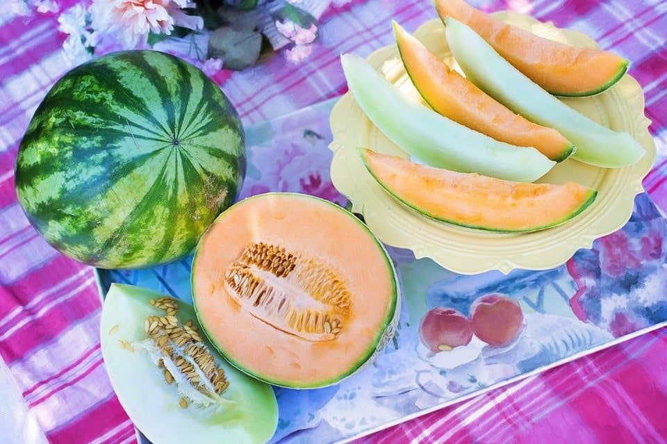 pixabay melons image