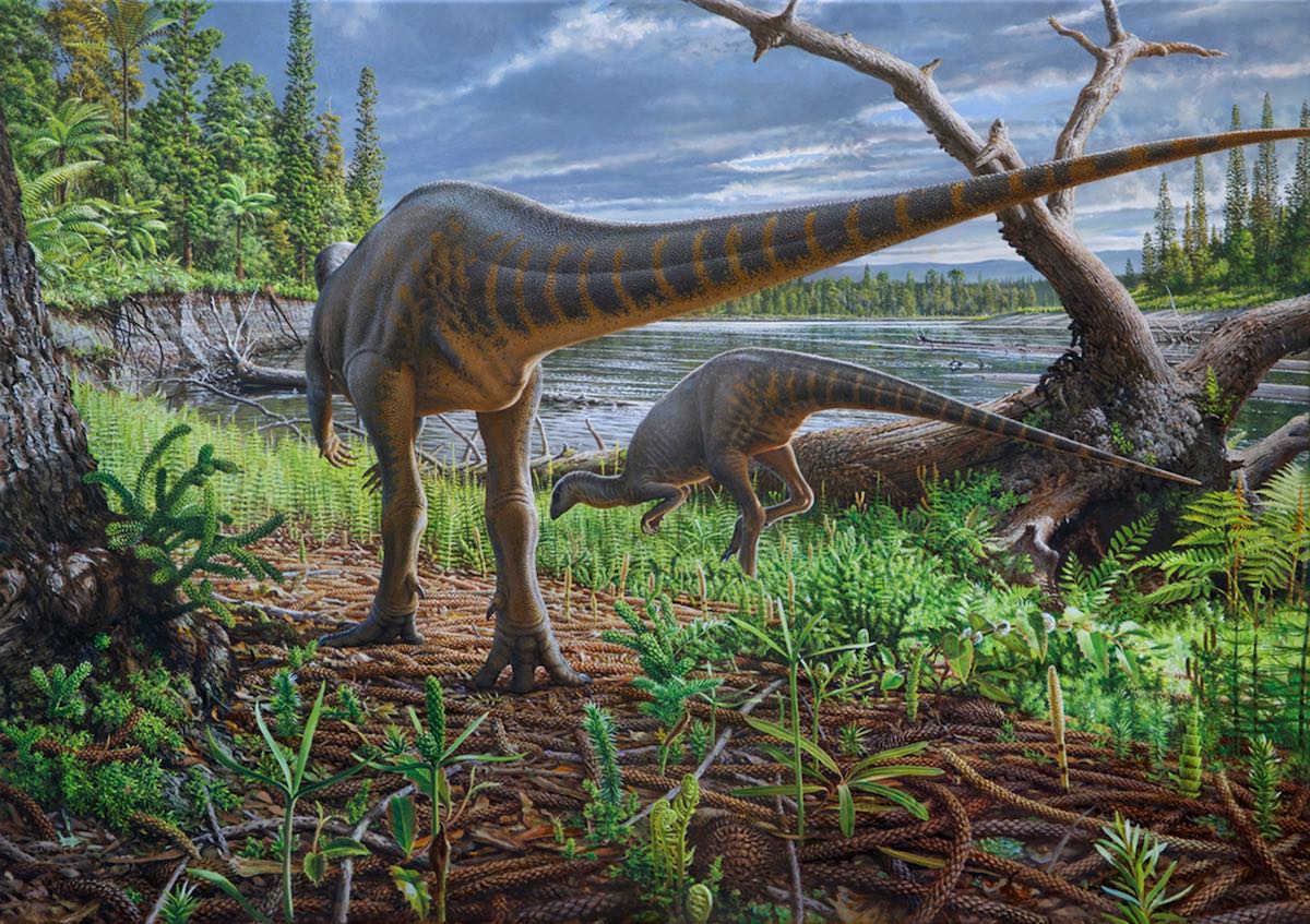 Leaellynasaura image
