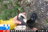 Nhan vien phong thi nghiem Vu Han bi doi cat Anh YouTube