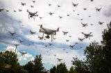 drone, máy bay không người lái