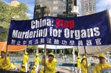 Hạ viện Mỹ thông qua dự luật phản đối Trung Quốc thu hoạch nội tạng học viên PLC