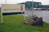 640px Monsanto vestiging Enkhuizen