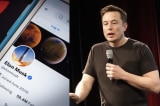 Twitter Elon Musk 1